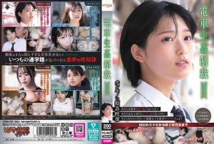 YDNS-003 電車生姦制裁 #003 ~ 綾瀨心-av8d